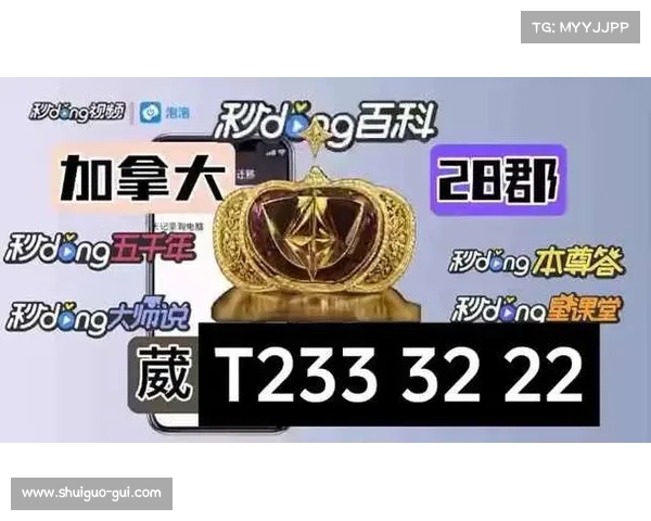 加拿大28预测技巧及策略分析，助你精准把握游戏规律